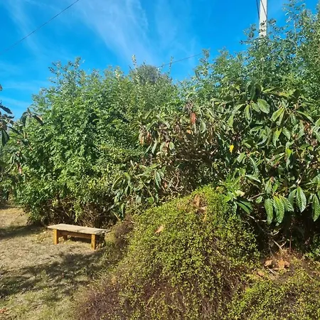 לינה וארוחת בוקר Domaine Saint-martin 3*